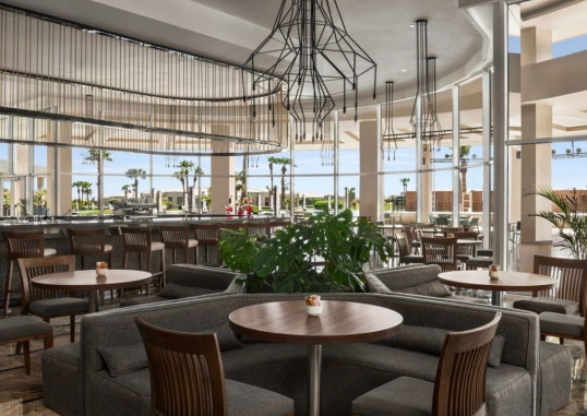 PICKALBATROS LUXURY SUITES (EX. GOLF VILLAS & SUITES) 35