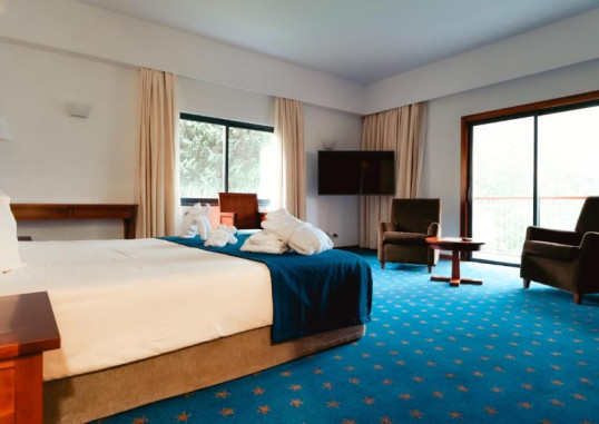 HOTEL QUINTA DA SERRA - BIO HOTEL 19