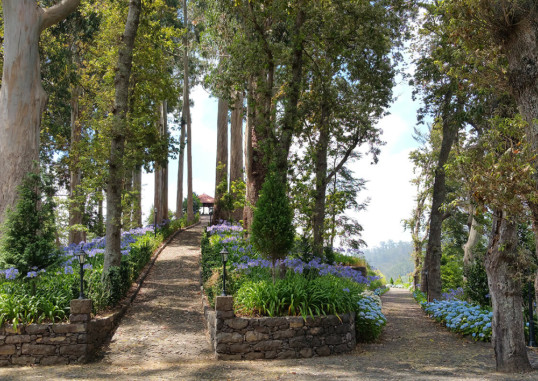 HOTEL QUINTA DA SERRA - BIO HOTEL 22