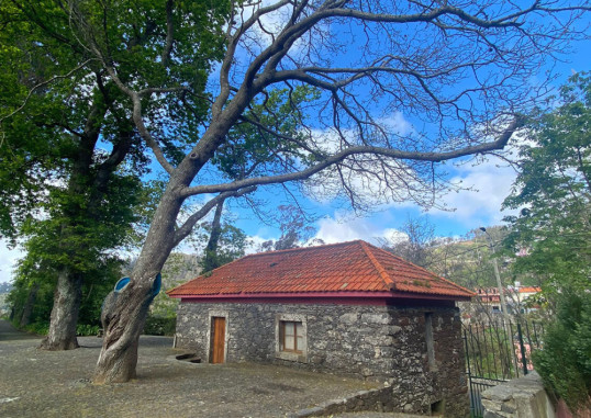HOTEL QUINTA DA SERRA - BIO HOTEL 27