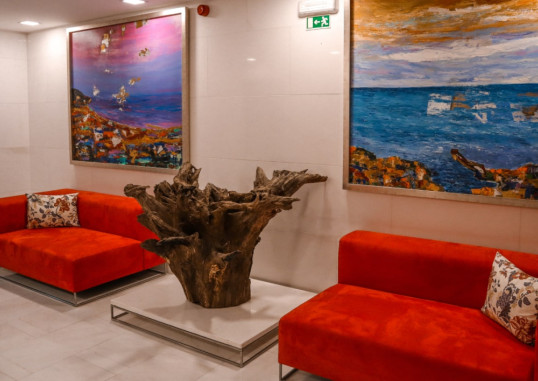 HOTEL QUINTA DA SERRA - BIO HOTEL 30