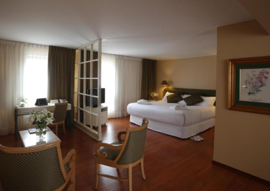 SUITES DEL BOSQUE HOTEL 2