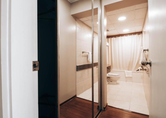 SUITES DEL BOSQUE HOTEL 4