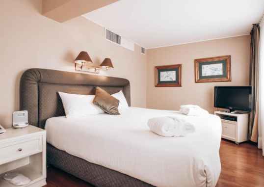 SUITES DEL BOSQUE HOTEL 5
