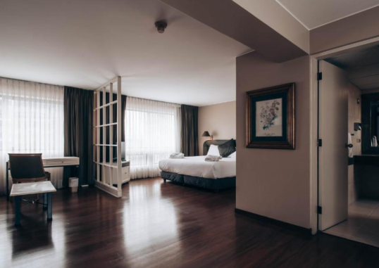 SUITES DEL BOSQUE HOTEL 6