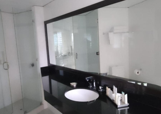 SUITES DEL BOSQUE HOTEL 8