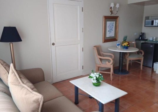 SUITES DEL BOSQUE HOTEL 9