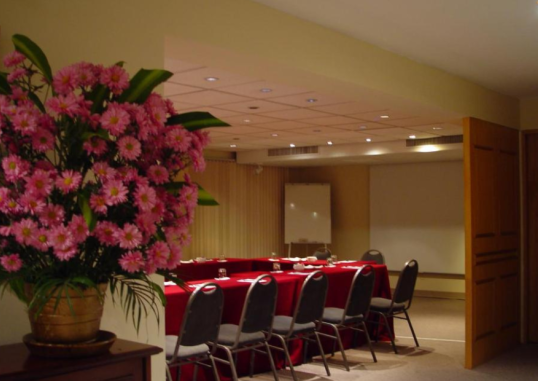 SUITES DEL BOSQUE HOTEL 11