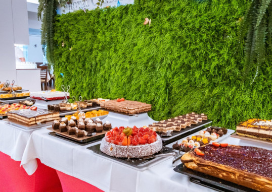 HOTEL CONDESA 24