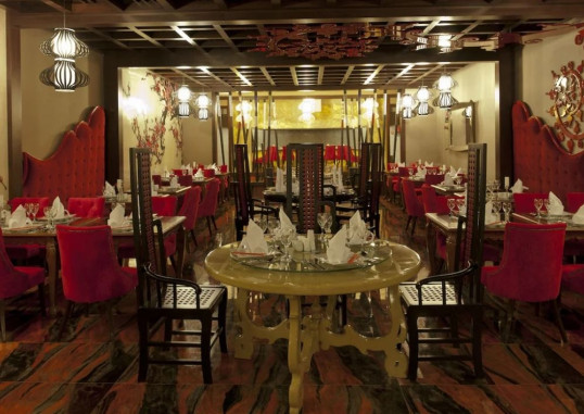 DELPHIN IMPERIAL 28