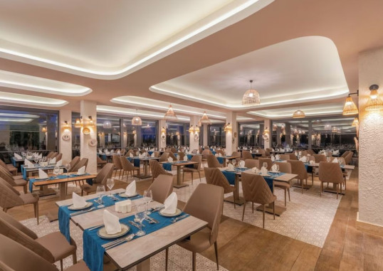 DELPHIN IMPERIAL 41