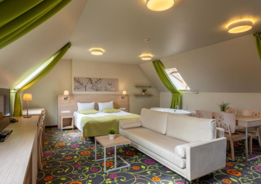 CITY HOTELS RUDNINKAI 11