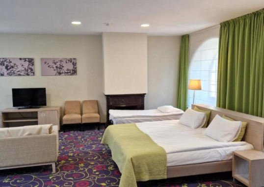 CITY HOTELS RUDNINKAI 16