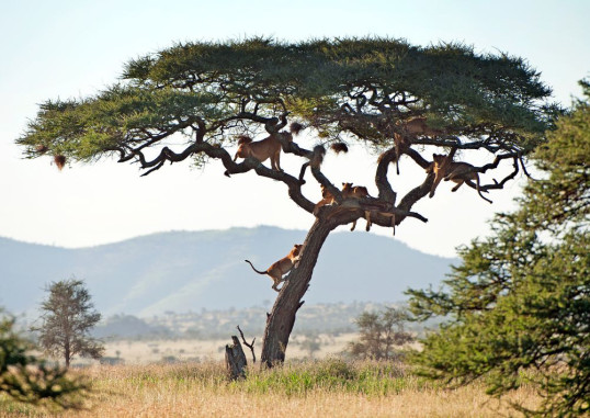 Sansibar Tanzania 1
