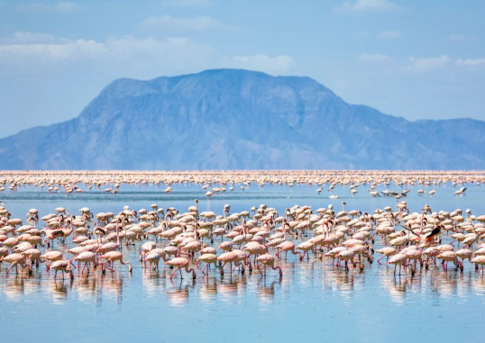 Sansibar Tanzania 5