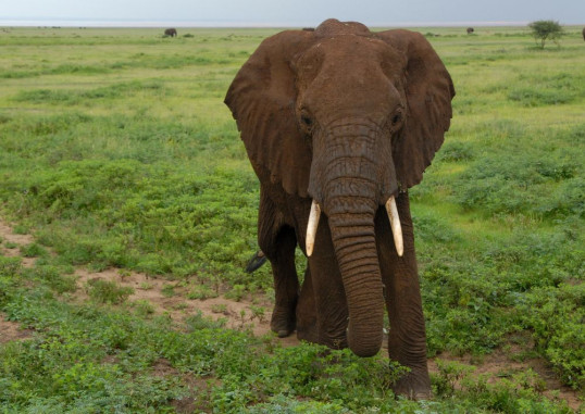 Sansibar Tanzania 6