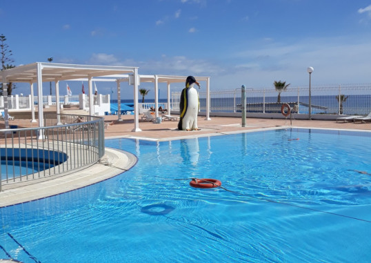 EL MOURADI CLUB SELIMA 17