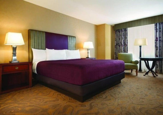 CIRCUS CIRCUS HOTEL 19