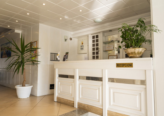 PRINCE HOTEL GOLEM 5