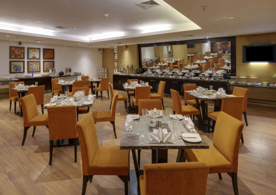 SVELTE, A MEMBER OF RADISSON INDIVIDUALS 42