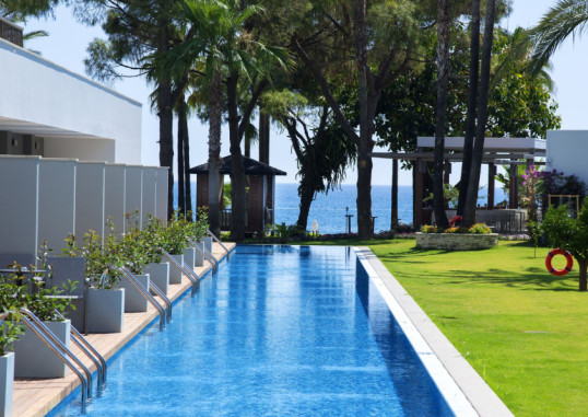 ACANTHUS CENNET BARUT 19