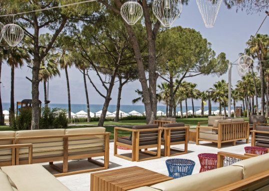 ACANTHUS CENNET BARUT 44