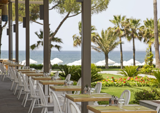 ACANTHUS CENNET BARUT 45