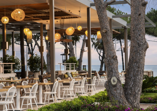 ACANTHUS CENNET BARUT 46