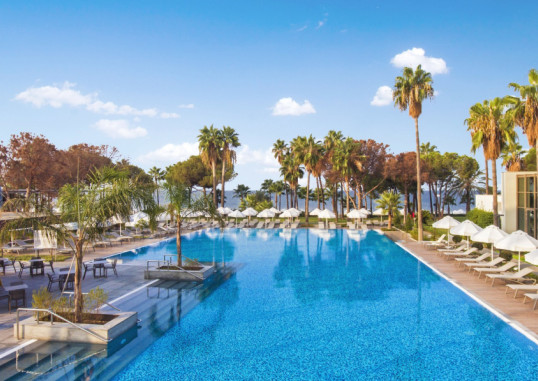 ACANTHUS CENNET BARUT 50