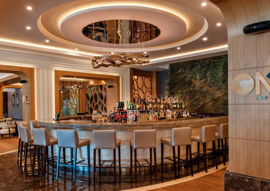 REGNUM CARYA 17