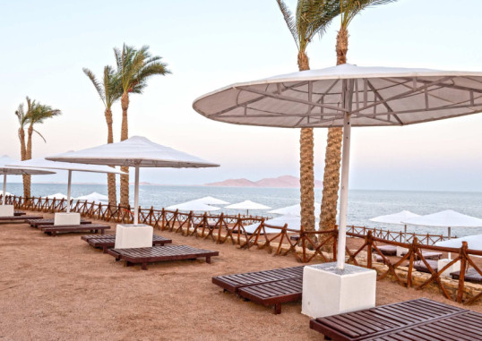 INVIDIA CORAL BEACH TIRAN 43