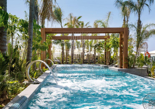 AMAVI HOTEL (ADULTS ONLY 18+) 44