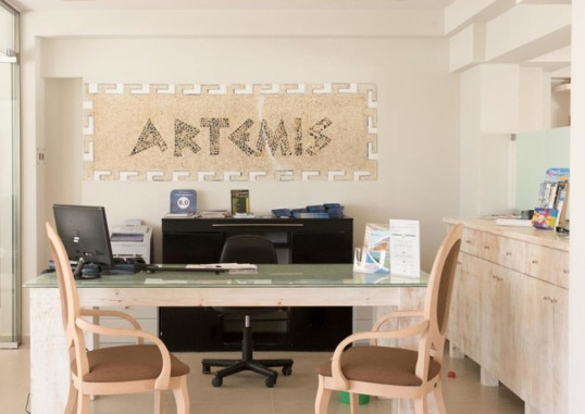 ARTEMIS HOTEL APARTMENTS 4