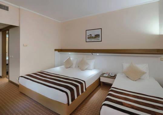 GREEN MAX HOTEL 6