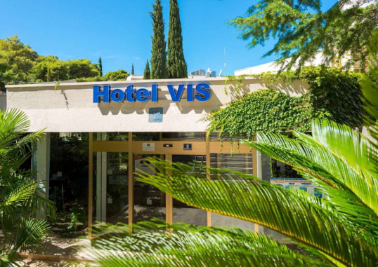 VIS 3
