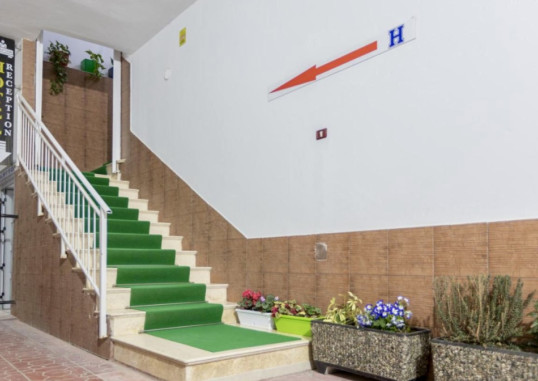 PALM SUITES 4