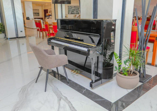 VIVAS HOTEL 10