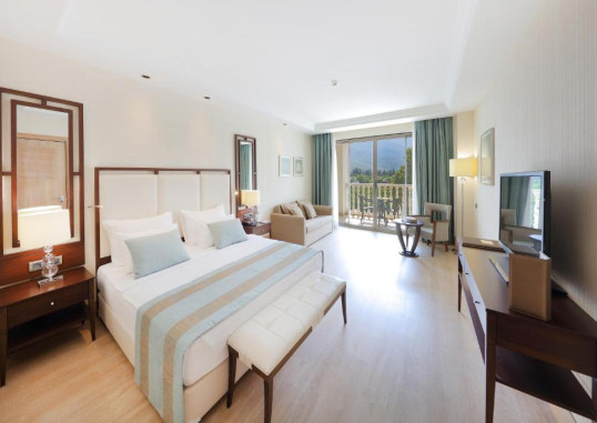 Deluxe Land View Room 2