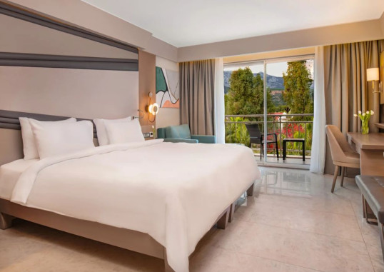 Deluxe Room 1