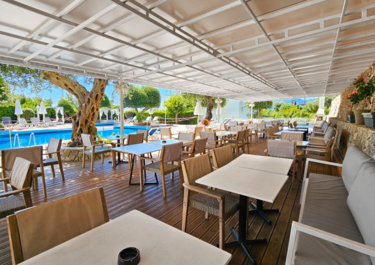 GOLDEN ALEXANDROS 50