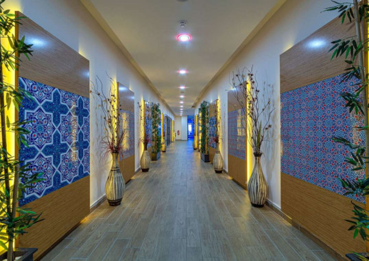 LONICERA PREMIUM HOTEL 12
