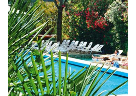 PALME 20