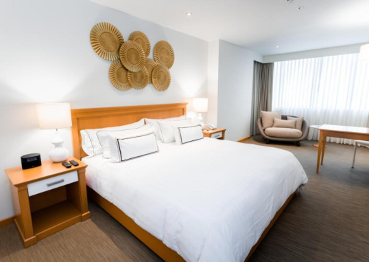 MELIÁ LIMA 8