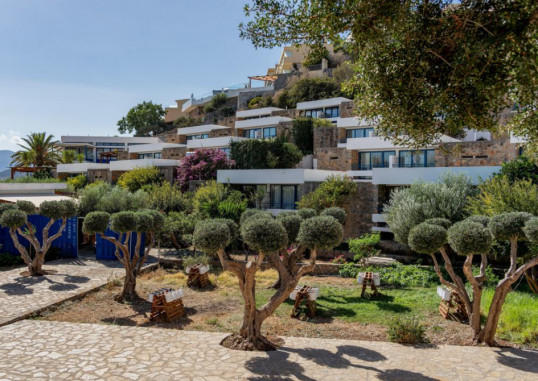 ARIADNE BEACH 11