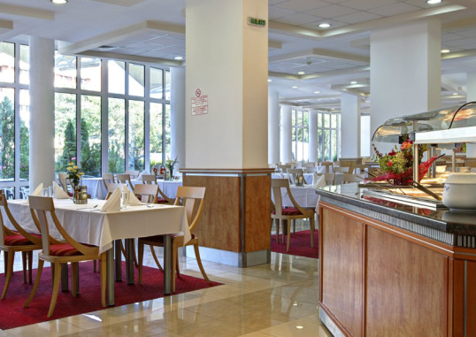HOTEL FENIX 8