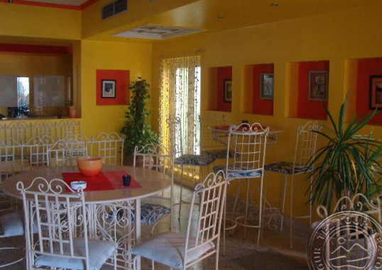 TURTLE'S INN EL GOUNA 1