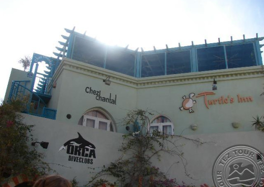 TURTLE'S INN EL GOUNA 2