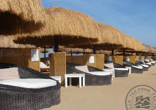TURTLE'S INN EL GOUNA 4