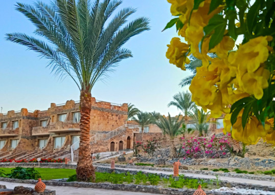 UTOPIA BEACH CLUB 6