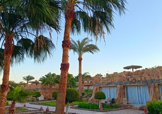 UTOPIA BEACH CLUB 7
